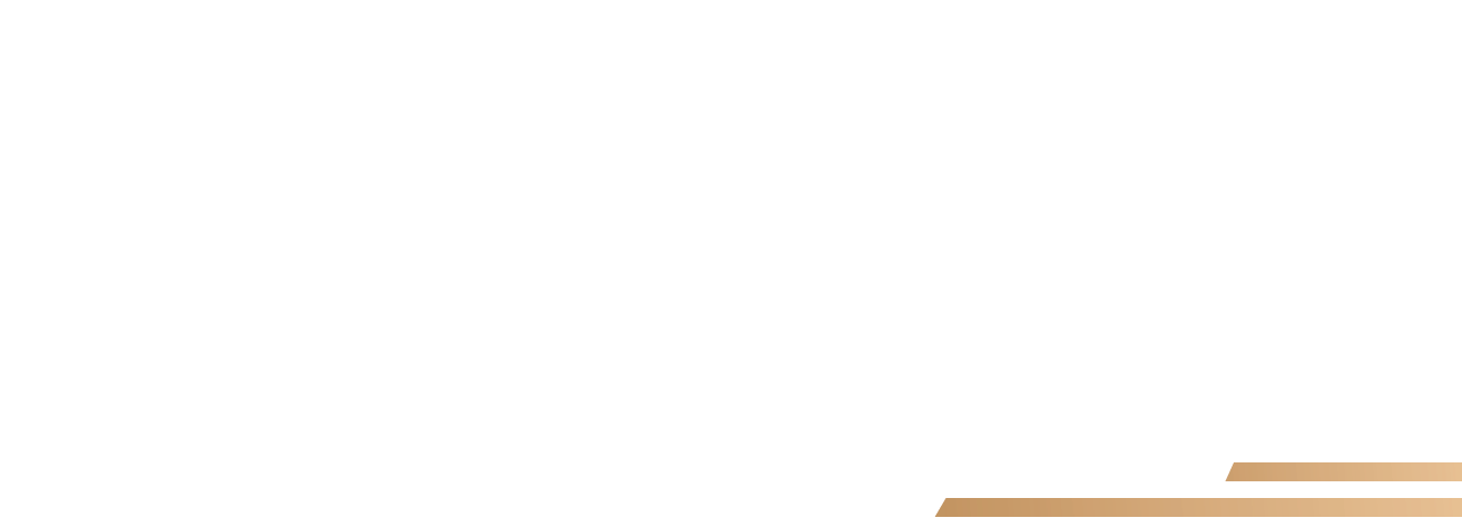 logo smartland