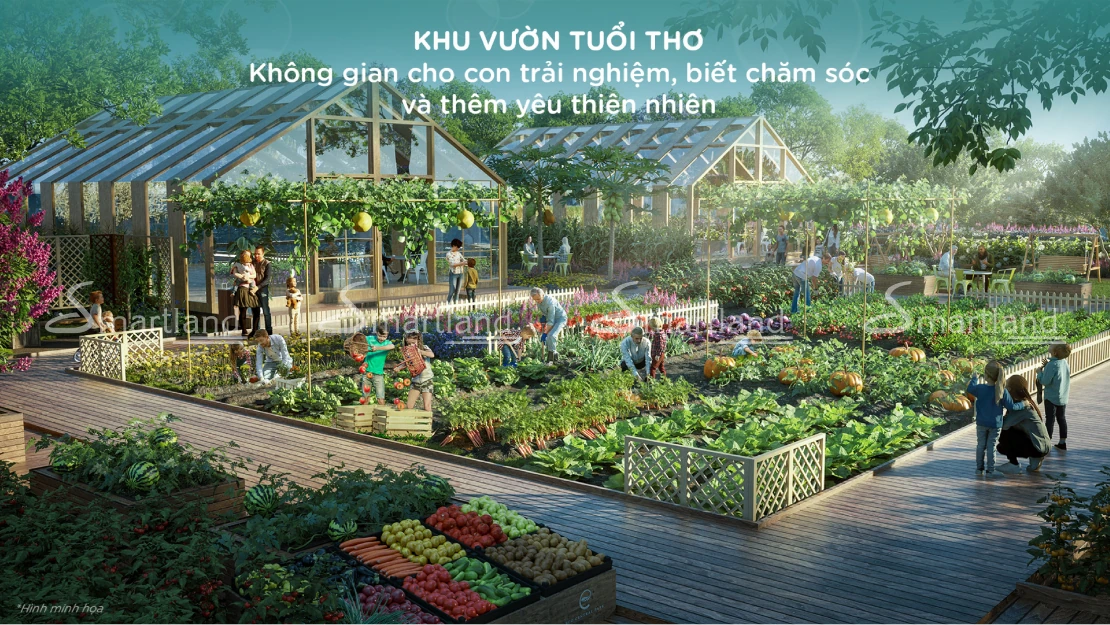 Tiện ích 5