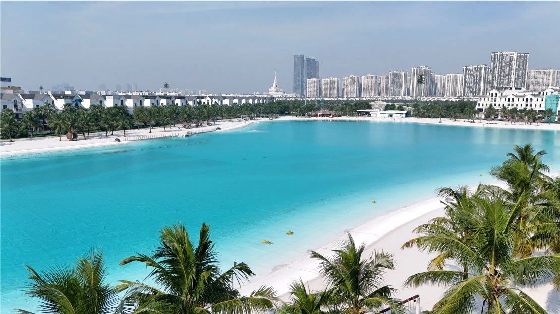 The Senique Salepage