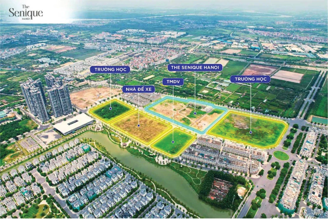 The Senique Salepage