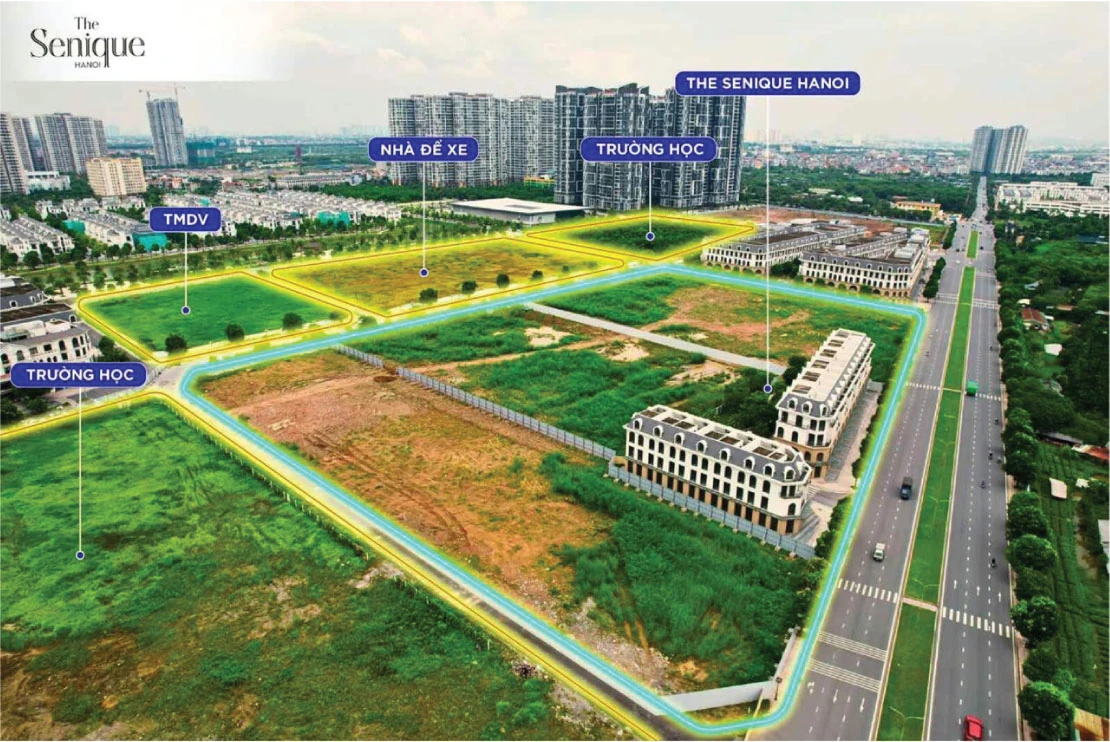 The Senique Salepage