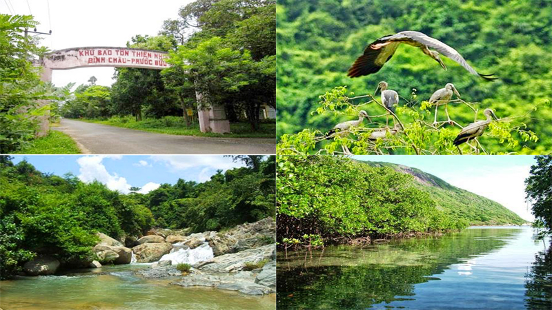 Khu Bảo tồn Bình Châu - Phước Bửu gần kê Lagoona Binh Chau BRVT: Phát triển du lịch sinh thái gắn với rừng bảo vệ và bảo tồn đa dạng sinh học