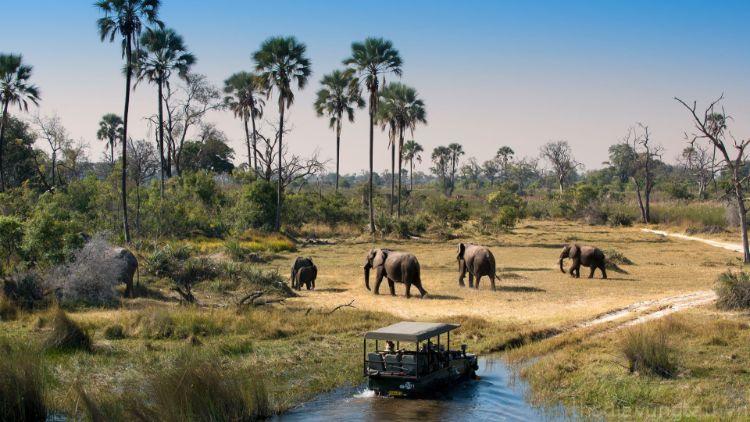 Vườn thú Safari - tiện ích ngoại khu Lagoona Binh Chau BRVT