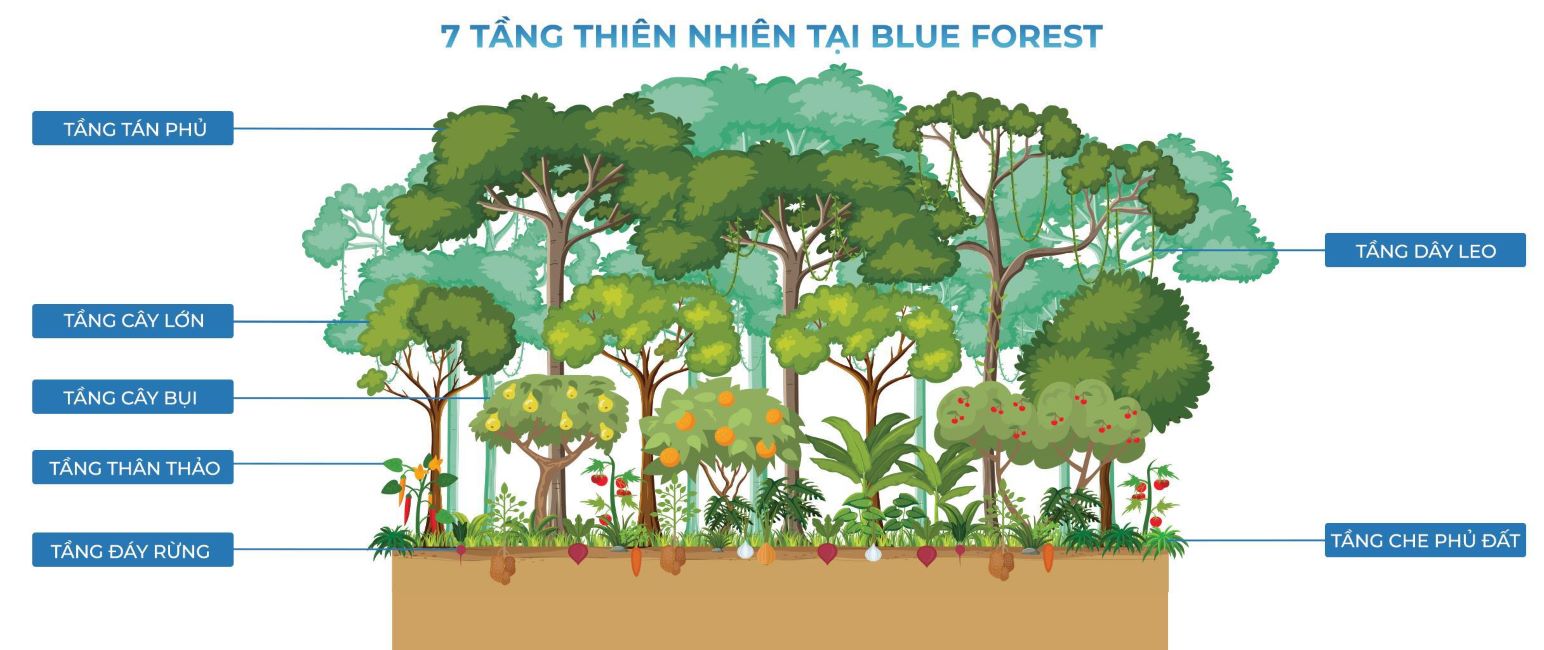 7-tang-thien-nhien-tai-Blue-Forest