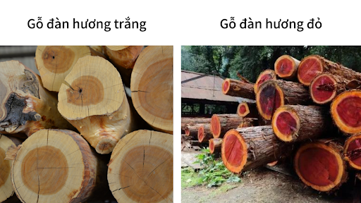 go-dat-nhat-the-gioi-gia-bao-nhieu3