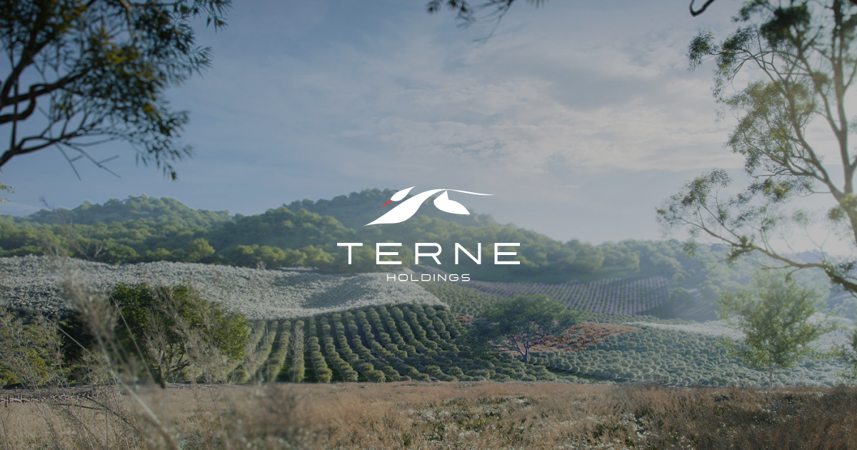 terne-holdings-the-one-destination