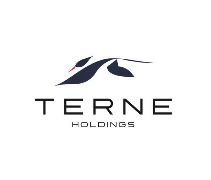 Quỹ đầu tư Terne Holdings là gì? Tổng hợp điều nên biết về quỹ đầu tư Terne Holdings