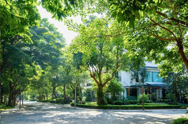 moi-truong-song-xanh-tai-town-house-eco-retreat
