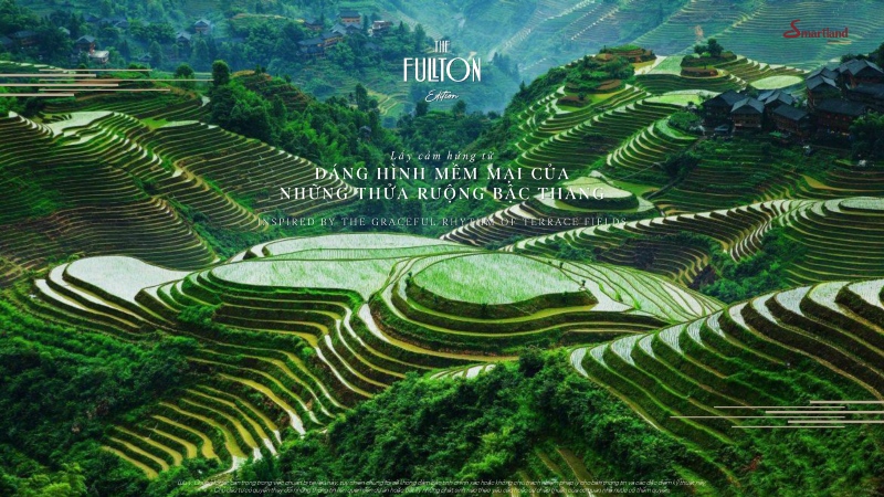 thiet-ke-the-fullton