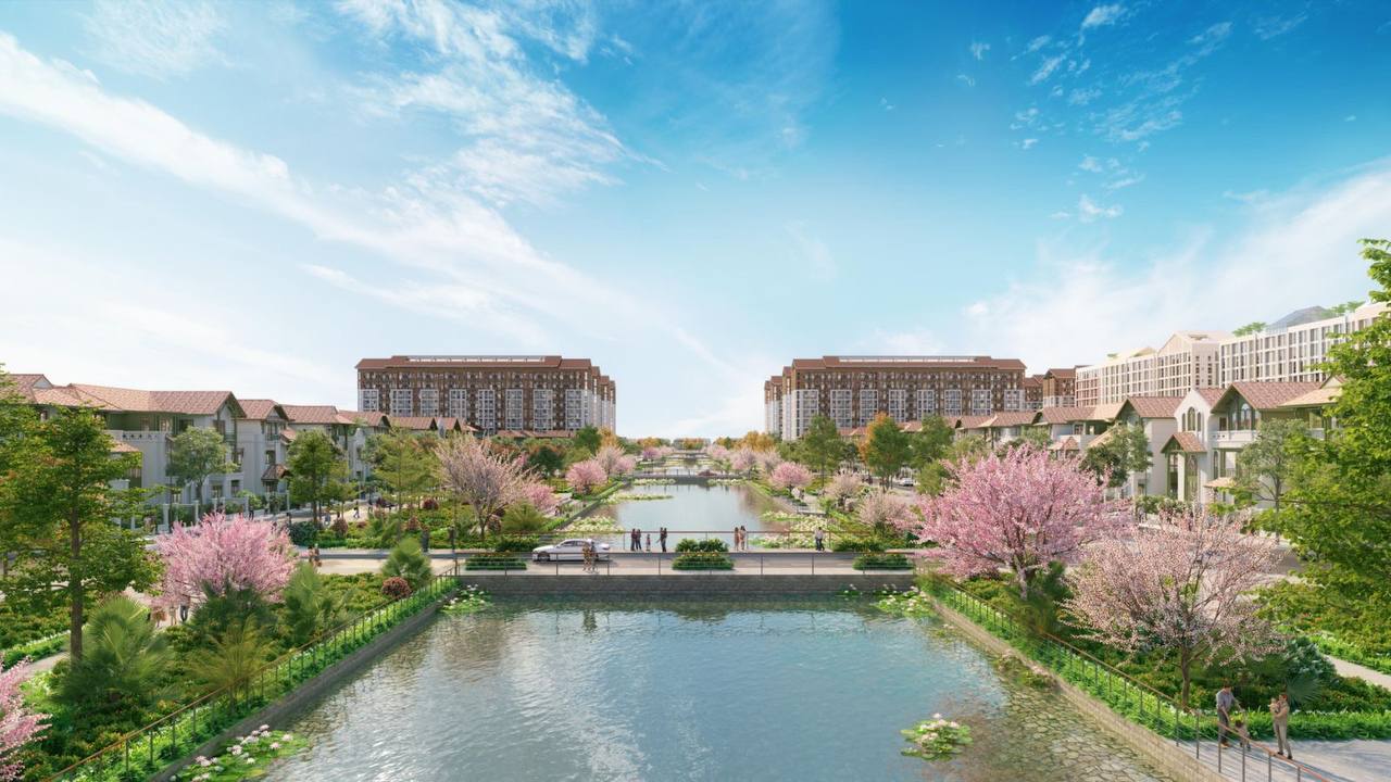 flora-avenue-sun-urban-city2
