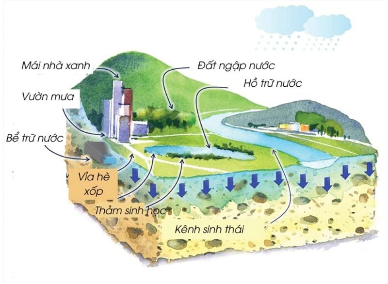 THÀNH PHỐ BỌT BIỂN LÀ GÌ? LỜI GIẢI CHO TƯƠNG LAI ĐÔ THỊ BỀN VỮNG VIỆT NAM