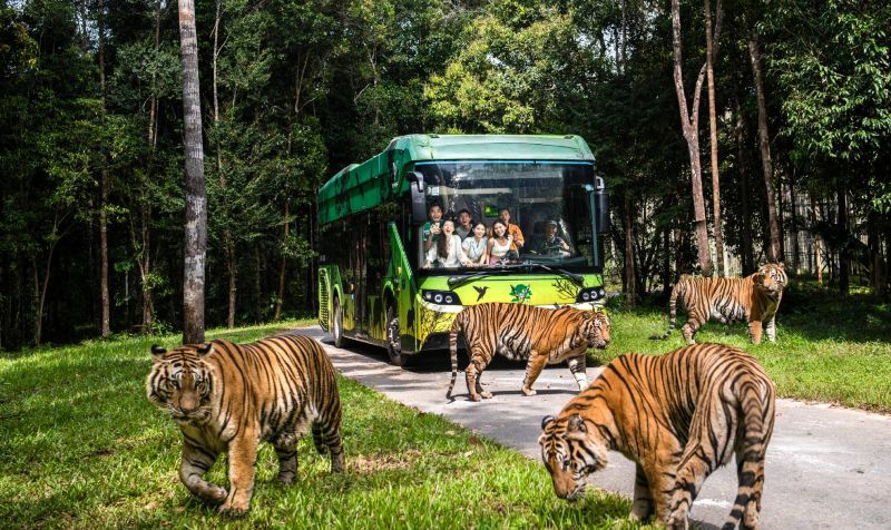 Safari Cần Giờ ở đâu? Trải nghiệm sinh thái độc đáo tại Vinhomes Green Paradise