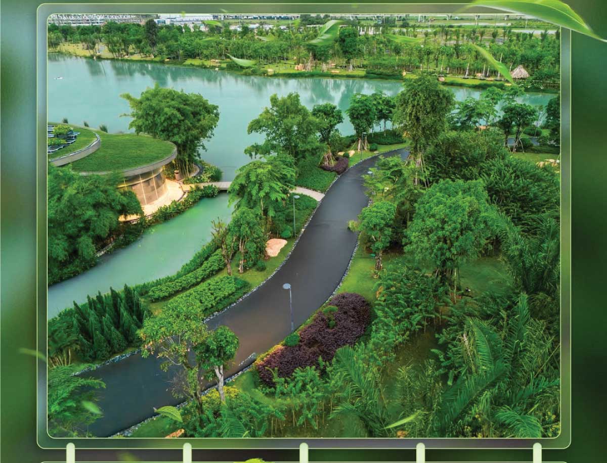 phối cảnh retreat forest