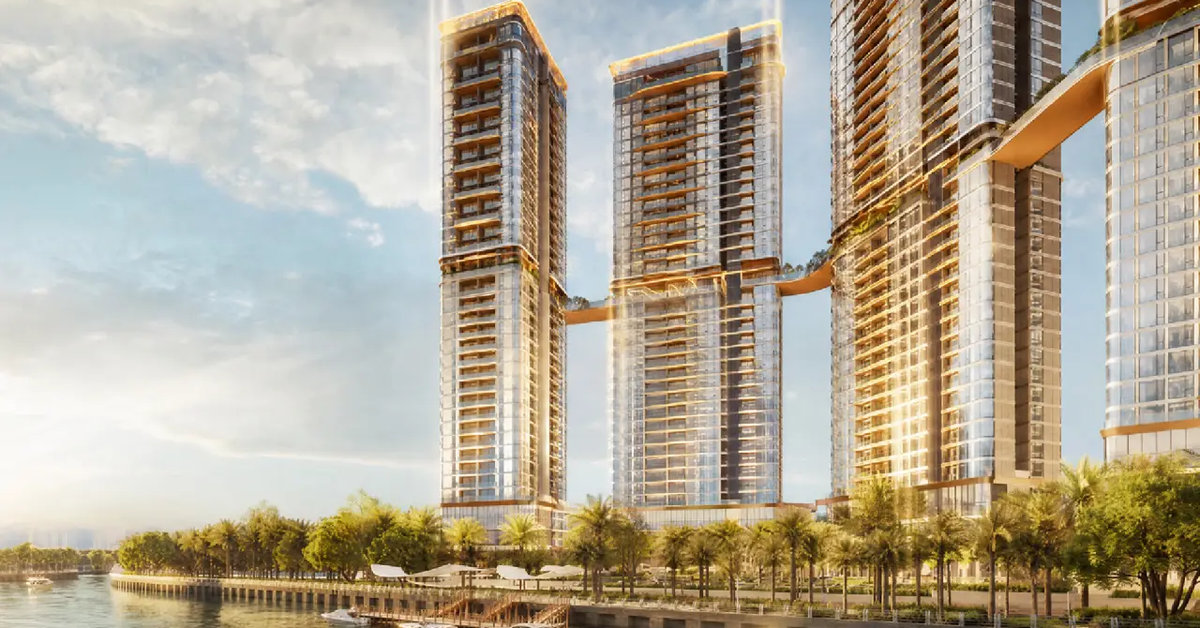 Palm River và Palm City: hai cái tên khác nhau thế nào?