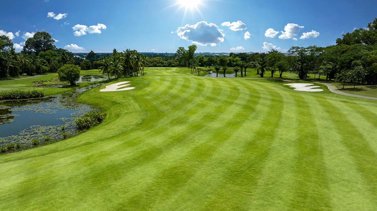 sân cây cọ palm sân golf sông bé